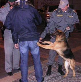 cane_droga