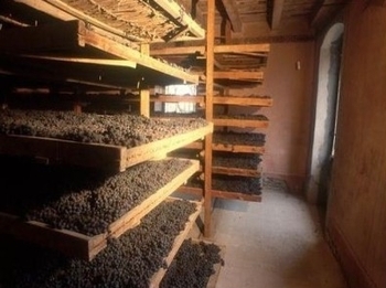 Svelati i segreti dell’Amarone