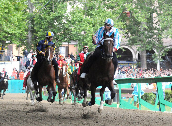 Il Palio teme la minaccia animalista