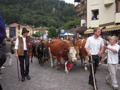 Dolomiti d’autunno… naturale energia