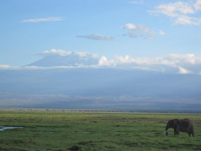 Sotto il sole del Kenya
