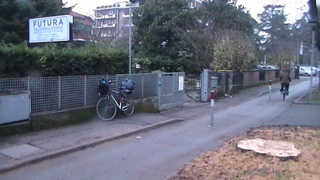 La strage di alberi