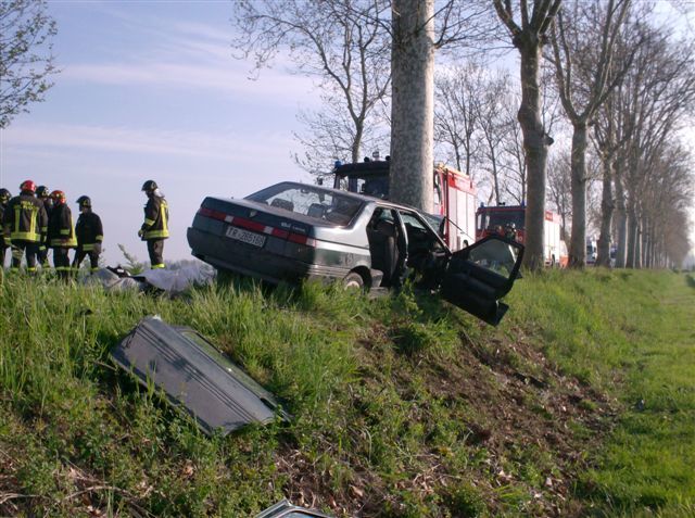 Alberi e guard-rail, un piano d’emergenza