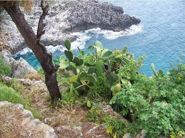 Salento incanto della natura