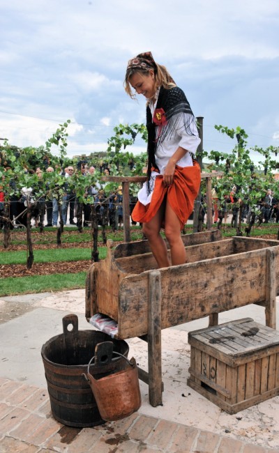 Il Lambrusco dei piccoli