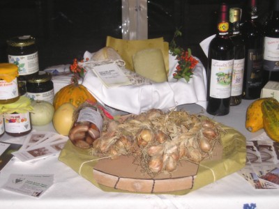Scalogno di Romagna, prelibatezza di Faenza