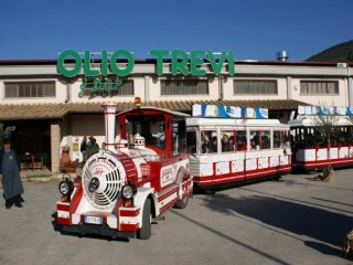 Olio in festa