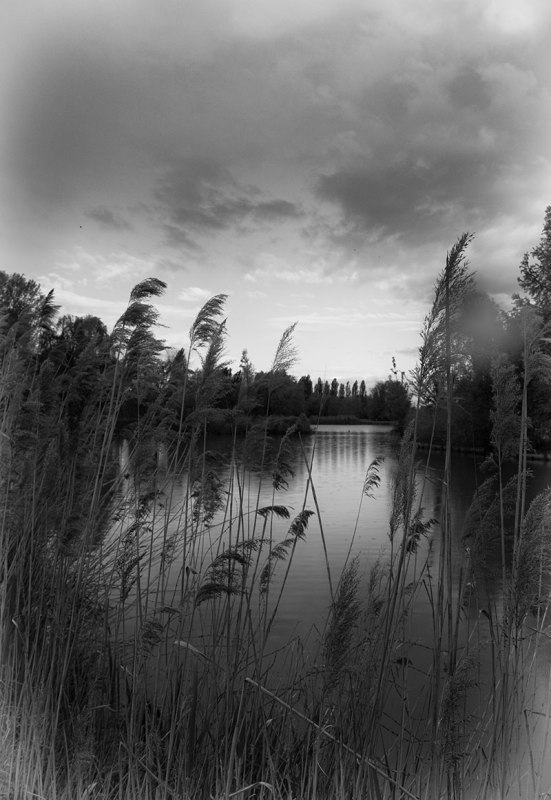IMG_0180