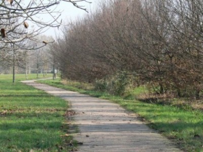 Nuova illuminazione sul ponte di accesso al parco urbano