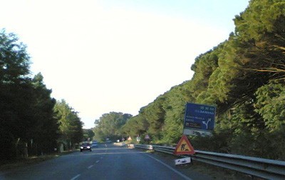 bosco mesola