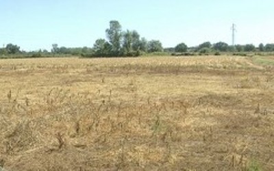 Geotermia, c’è il rischio subsidenza