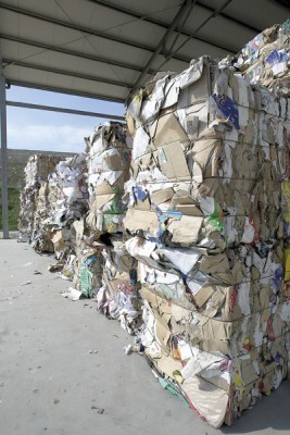 Discarica Crispa. Favia (M5S): “Progetto criminale”