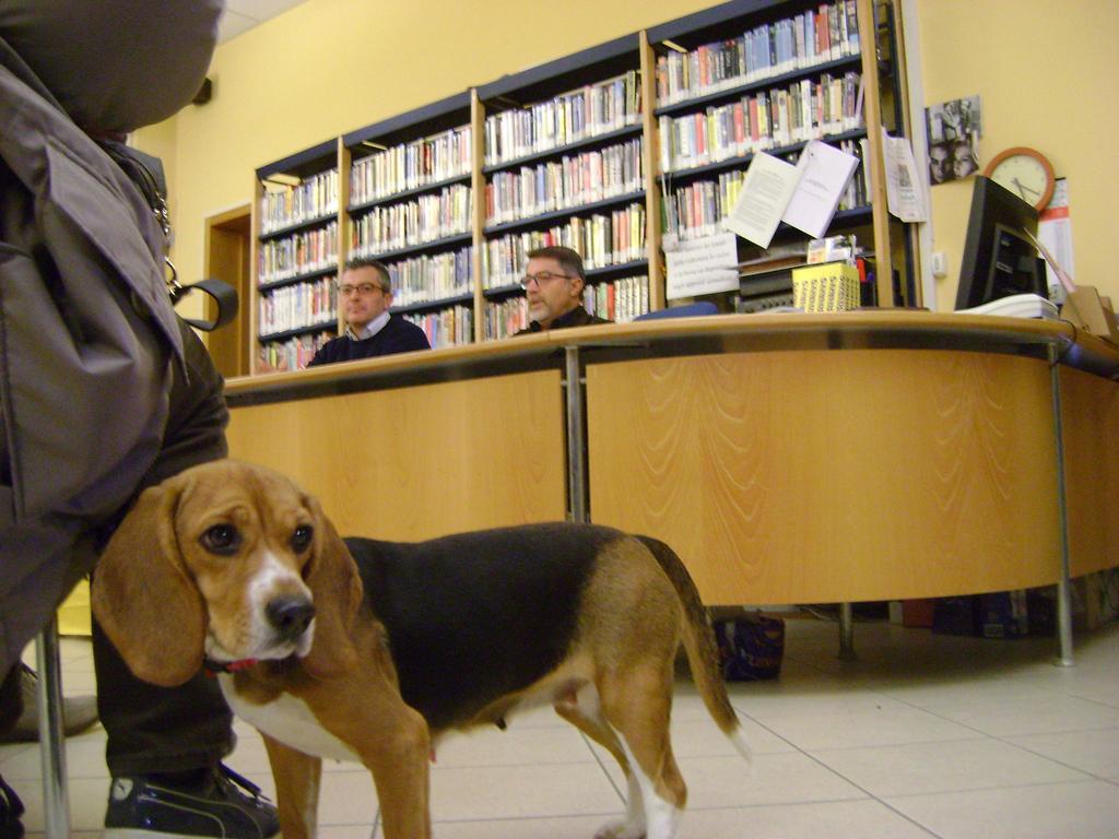 “Vengo via con te”: la vittoria dei beagle