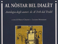 dialetto libro