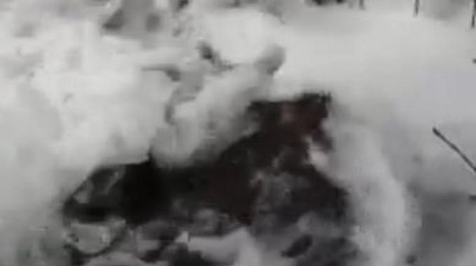 Spunta ‘geyser’ dal terreno