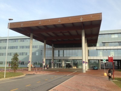 Altre consulenze per Cona