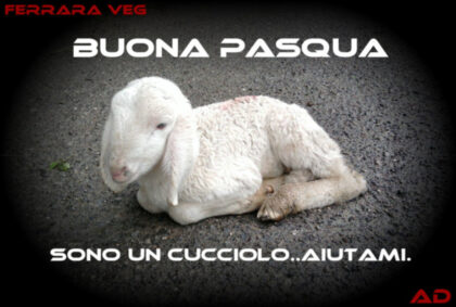 BUONA PASQUA 2013