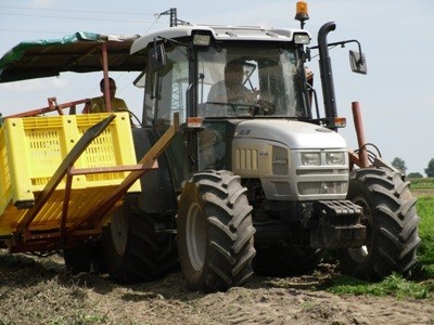 Nuove assunzioni a Copparo