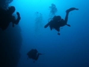 Assemblea annuale per i subacquei ferraresi