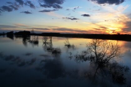 Piena del Reno del 19 marzo presso Dosso di Sant’Agostino
