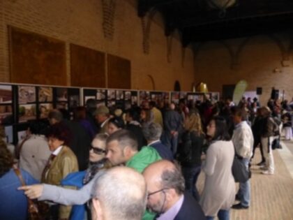 mostra terremoto 1