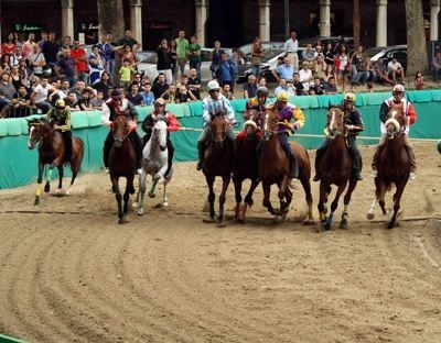 Palio, tutti i campioni e i pronostici