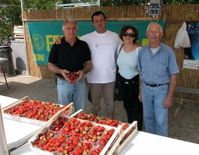 fragole3