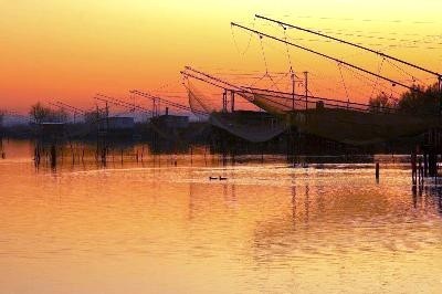 Delta del Po tra Mab Unesco ed interregionalità