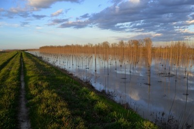 Allerta terminata per la piena di Reno e Po