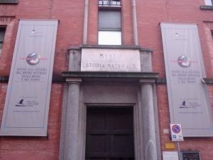museo di storia naturale