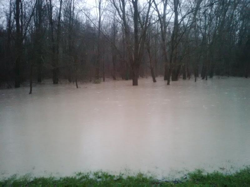 La piena del Reno si sposta a Poggio