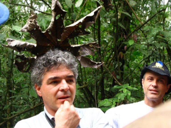 Delegazione brasiliana a Unife