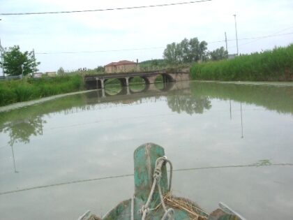 Massenzatica ponte 1