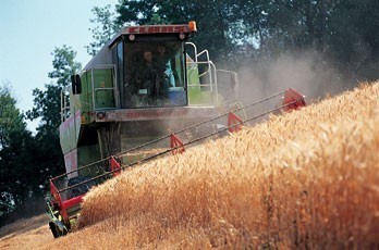 Agricoltura, 4,8 milioni alle imprese argentane