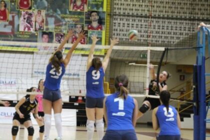 GiRex Evolution volley