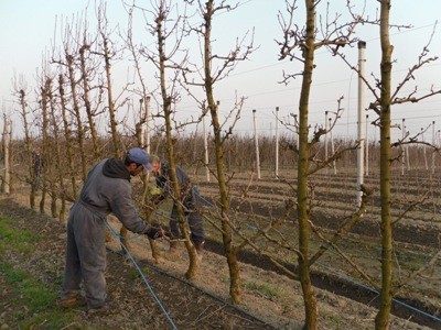 Sfruttamento agricolo: un triste primato per Ferrara