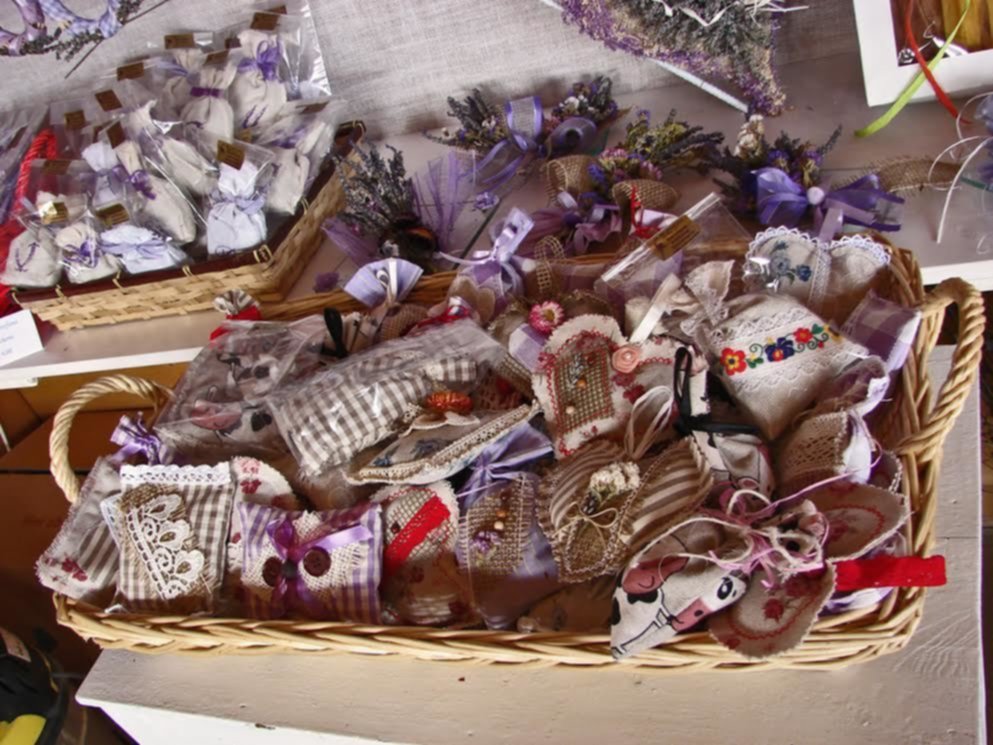 Coldiretti Donne e “quello che non ti aspetti dalla campagna”