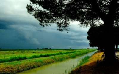 Allerta meteo: anche il Ferrarese sotto osservazione per rischio piene