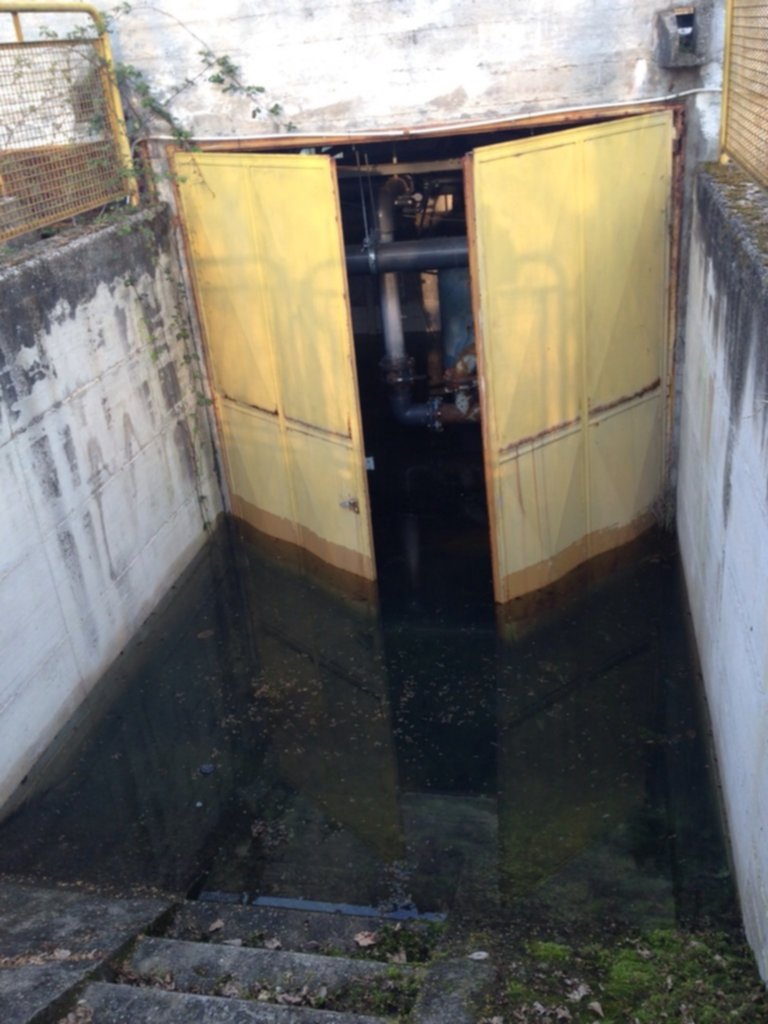 “Piscina di via Bacchelli in forte degrado”