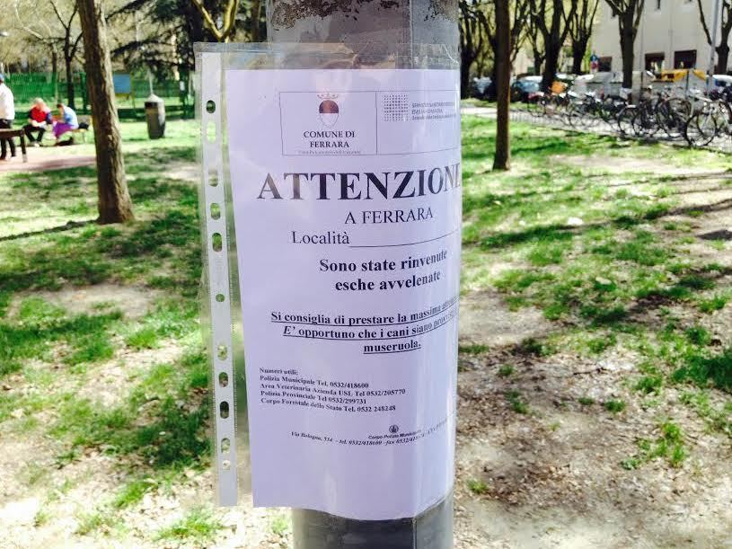 Allarme esche avvelenate nell’area sgambamento cani