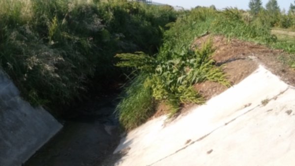 “Ecco perché ci occupiamo delle piccole cose”