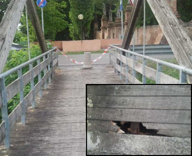 Stato di avanzamento degrado