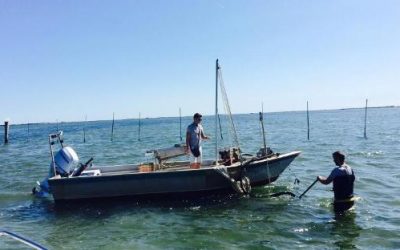 Gasolio per la pesca a 1,30 euro al litro, anche da Goro l’appello al Governo