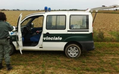 Bilancio della stagione venatoria a Ferrara: 126 sanzioni e zero incidenti