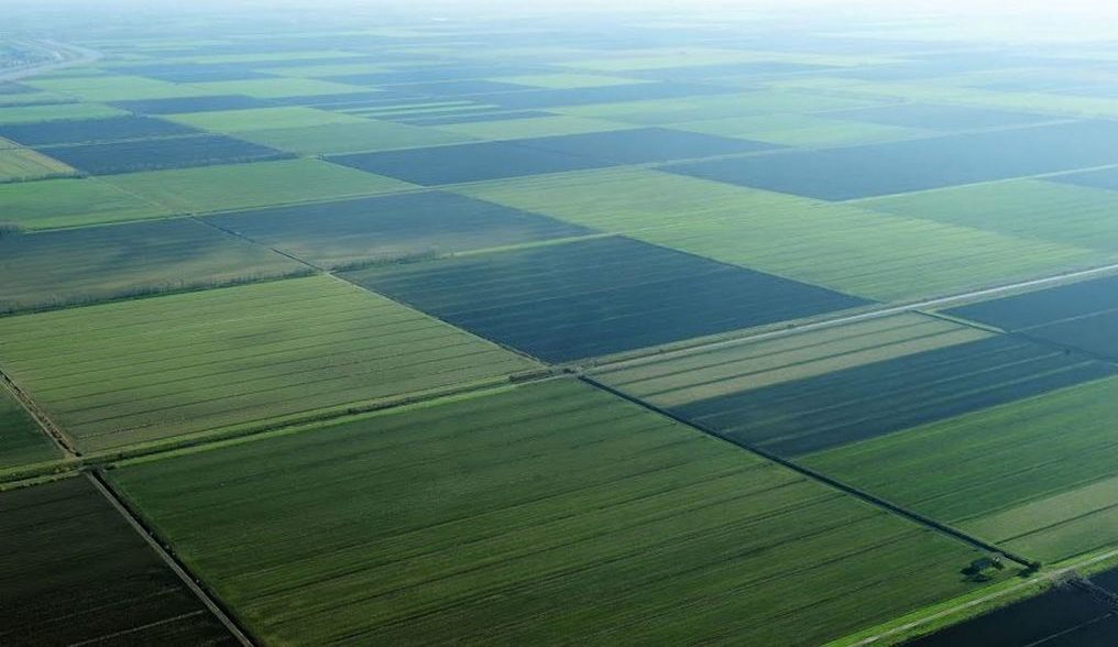 Coldiretti: “Bene gli anticipi Pec: segnale importante per le attività”