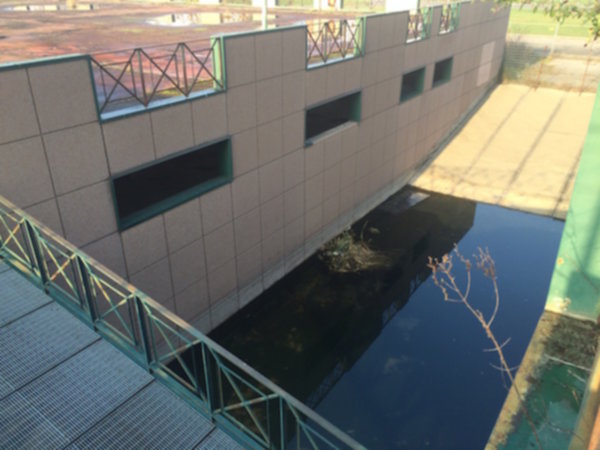 Palaspecchi. De Togni (Asl) ha chiesto ok di procura per un sopralluogo