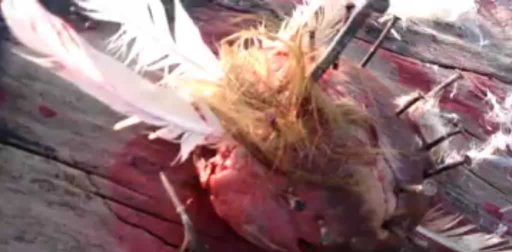 Choc ai lidi: un cuore inchiodato e 11 sculture rase al suolo