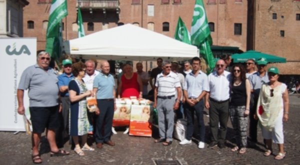 Allarme agricoltori: “Il grano made in Italy a rischio estinzione”