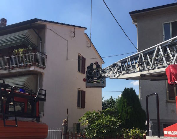 Il gatto Poirot “liberato dai cittadini”