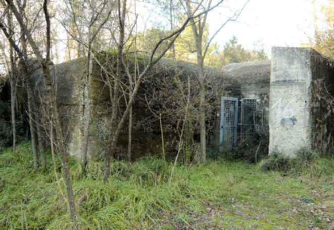 Bunker di Mesola dimenticati dal turismo